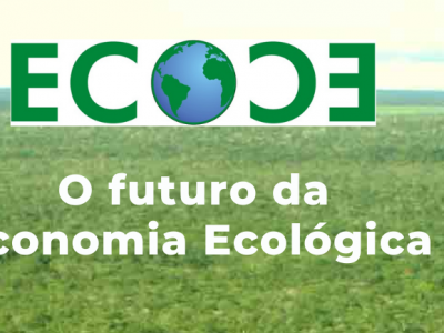 O futuro da Economia Ecológica (ciclo de webinars) O futuro da Economia Ecológica (ciclo de webinars)